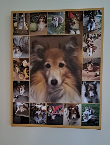 Klantfoto van Regina voor beoordeling Afdruk Fotocollage Canvas 11x14"